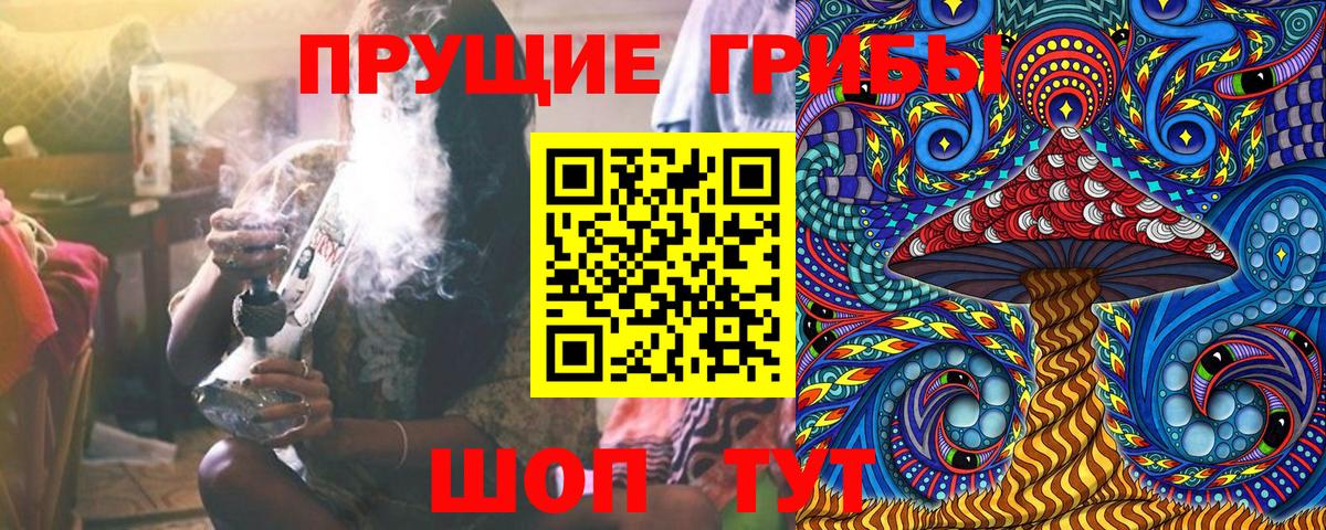 Боровичи  Псилоцибиновые грибы Cubensis  Вход с VPN 